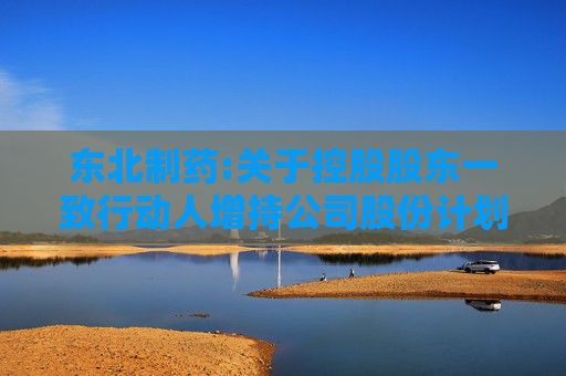东北制药:关于控股股东一致行动人增持公司股份计划的进展情况暨权益变动的提示性公告