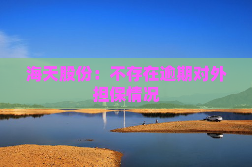 海天股份：不存在逾期对外担保情况