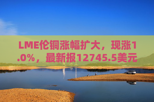LME伦铜涨幅扩大，现涨1.0%，最新报12745.5美元/吨