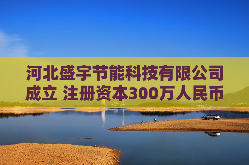河北盛宇节能科技有限公司成立 注册资本300万人民币