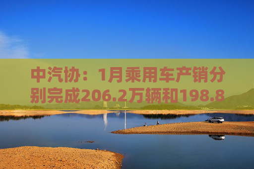 中汽协：1月乘用车产销分别完成206.2万辆和198.8万辆 同比分别下降4.1%和6.8%