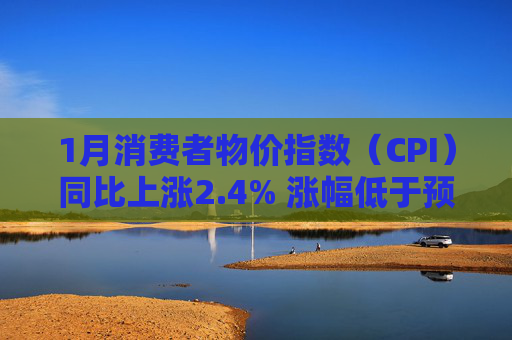1月消费者物价指数（CPI）同比上涨2.4% 涨幅低于预期