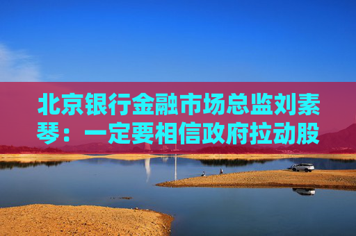 北京银行金融市场总监刘素琴：一定要相信政府拉动股市的决心