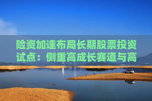 险资加速布局长期股票投资试点：侧重高成长赛道与高分红企业