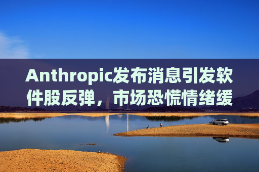 Anthropic发布消息引发软件股反弹，市场恐慌情绪缓解  第1张