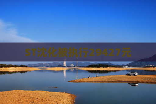ST沈化被执行29427元