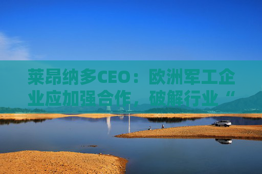 莱昂纳多CEO：欧洲军工企业应加强合作，破解行业“碎片化”困局