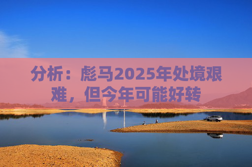 分析：彪马2025年处境艰难，但今年可能好转