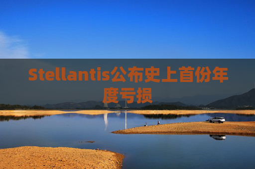 Stellantis公布史上首份年度亏损  第1张