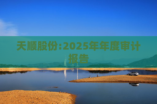 天顺股份:2025年年度审计报告