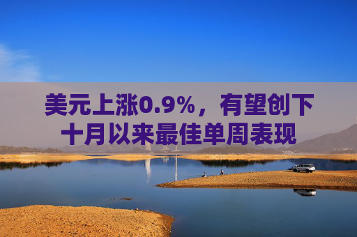 美元上涨0.9%，有望创下十月以来最佳单周表现