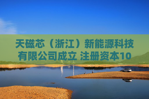 天磁芯（浙江）新能源科技有限公司成立 注册资本1000万人民币