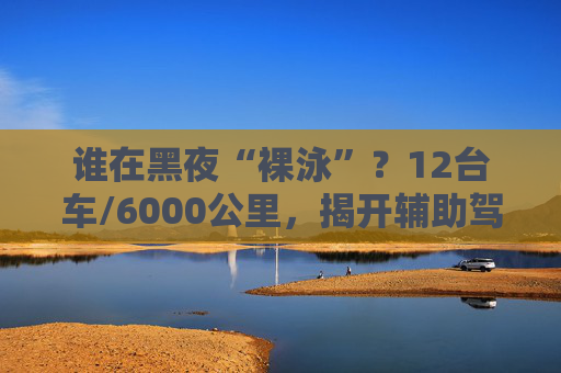 谁在黑夜“裸泳”？12台车/6000公里，揭开辅助驾驶的夜盲真相  第1张