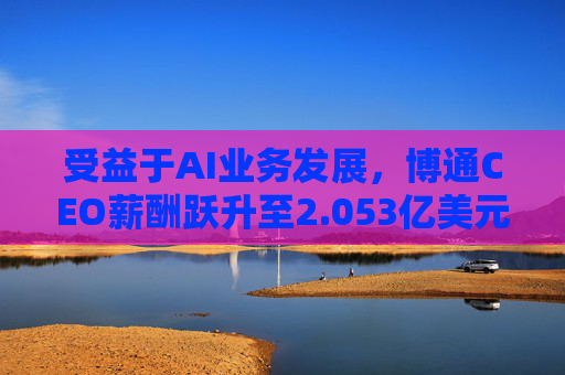 受益于AI业务发展，博通CEO薪酬跃升至2.053亿美元