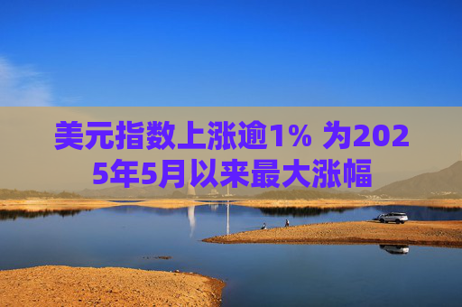 美元指数上涨逾1% 为2025年5月以来最大涨幅