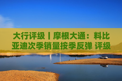 大行评级丨摩根大通：料比亚迪次季销量按季反弹 评级“增持”