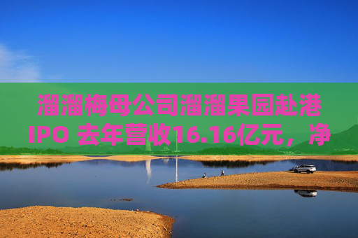 溜溜梅母公司溜溜果园赴港IPO 去年营收16.16亿元，净利润突破1亿元  第1张