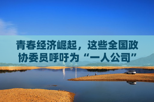 青春经济崛起，这些全国政协委员呼吁为“一人公司”提供全链条创业支持
