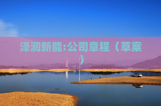 泽润新能:公司章程（草案）