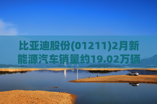 比亚迪股份(01211)2月新能源汽车销量约19.02万辆  第1张