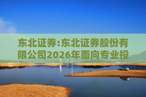东北证券:东北证券股份有限公司2026年面向专业投资者公开发行公司债券（第一期）信用评级报告