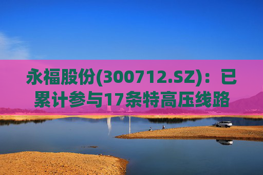永福股份(300712.SZ)：已累计参与17条特高压线路与3座特高压变电站工程  第1张
