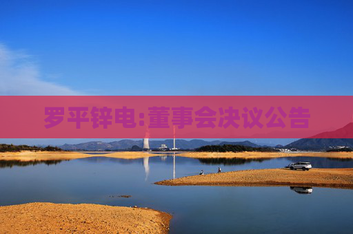 罗平锌电:董事会决议公告  第1张