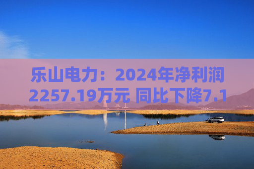 乐山电力：2024年净利润2257.19万元 同比下降7.11%