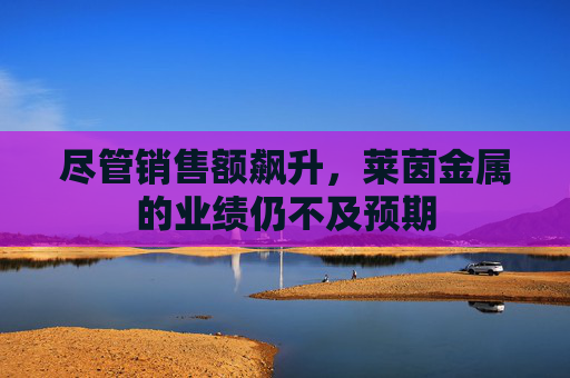 尽管销售额飙升，莱茵金属的业绩仍不及预期