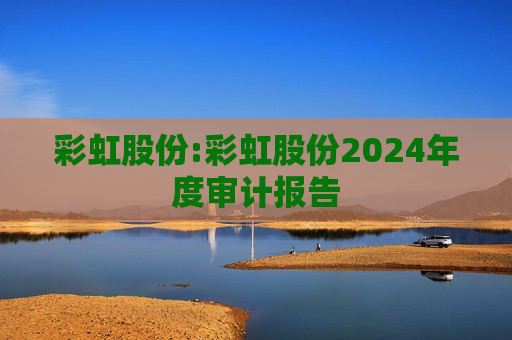 彩虹股份:彩虹股份2024年度审计报告