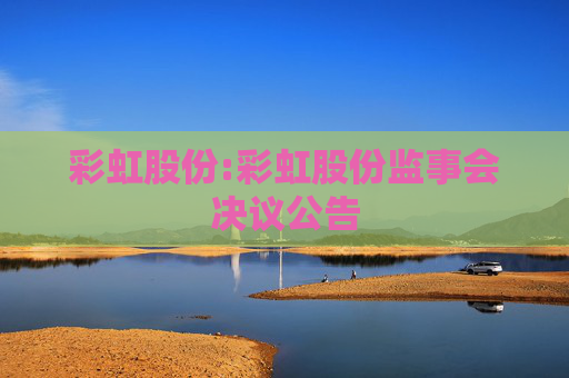 彩虹股份:彩虹股份监事会决议公告