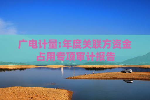 广电计量:年度关联方资金占用专项审计报告