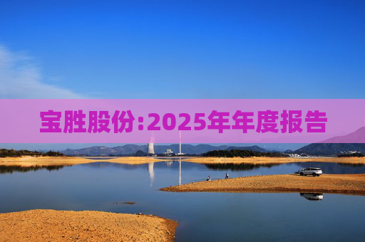 宝胜股份:2025年年度报告  第1张