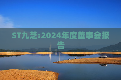 ST九芝:2024年度董事会报告  第1张