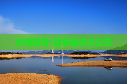 长海股份:董事会决议公告  第1张