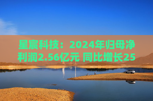 星宸科技：2024年归母净利润2.56亿元 同比增长25.18%