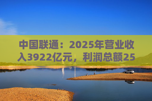 中国联通：2025年营业收入3922亿元，利润总额253亿元