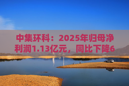 中集环科：2025年归母净利润1.13亿元，同比下降62.91%