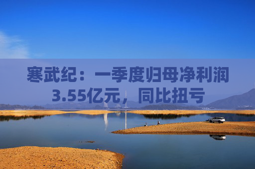 寒武纪：一季度归母净利润3.55亿元，同比扭亏  第1张