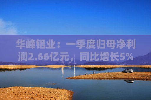 华峰铝业：一季度归母净利润2.66亿元，同比增长5%  第1张