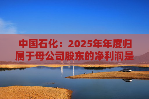 中国石化：2025年年度归属于母公司股东的净利润是31809百万元
