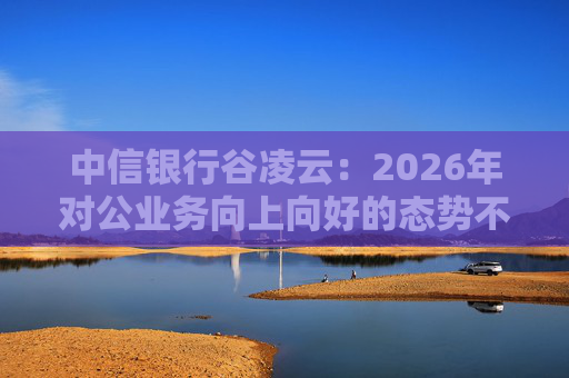 中信银行谷凌云：2026年对公业务向上向好的态势不会改变