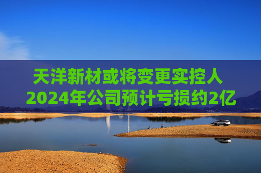 天洋新材或将变更实控人 2024年公司预计亏损约2亿  第1张