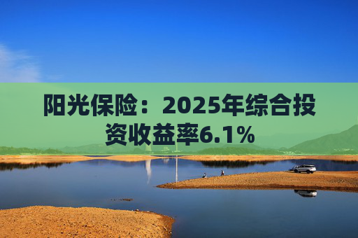 阳光保险：2025年综合投资收益率6.1%