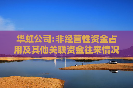 华虹公司:非经营性资金占用及其他关联资金往来情况的专项说明
