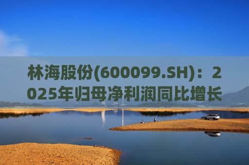 林海股份(600099.SH)：2025年归母净利润同比增长33.24%，每股拟派利0.045元