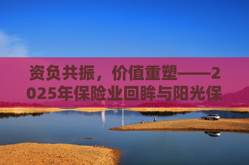 资负共振，价值重塑――2025年保险业回眸与阳光保险样本