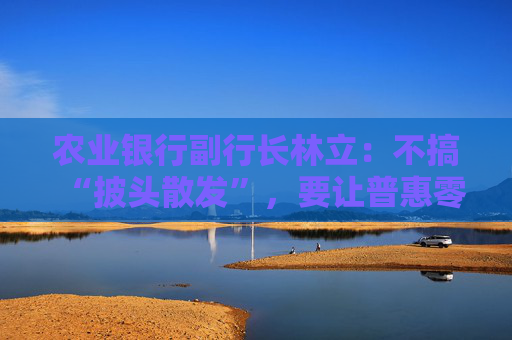 农业银行副行长林立：不搞“披头散发”，要让普惠零售贷款 “眉清目秀”