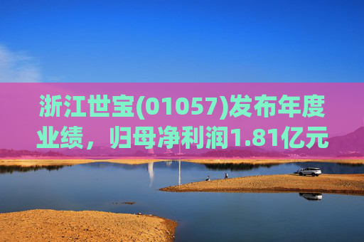浙江世宝(01057)发布年度业绩，归母净利润1.81亿元 同比增加21.05%