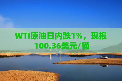 WTI原油日内跌1%，现报100.36美元/桶